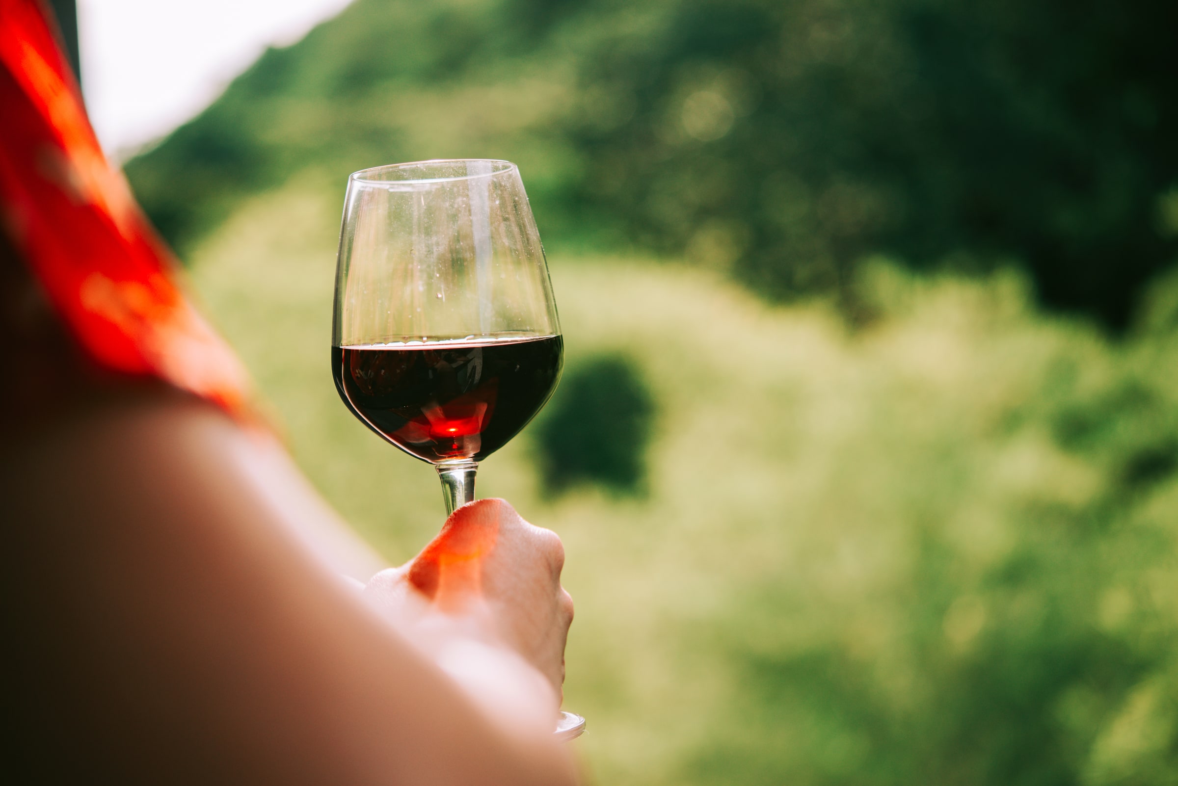 A glass of red wine overlooking a vineyard