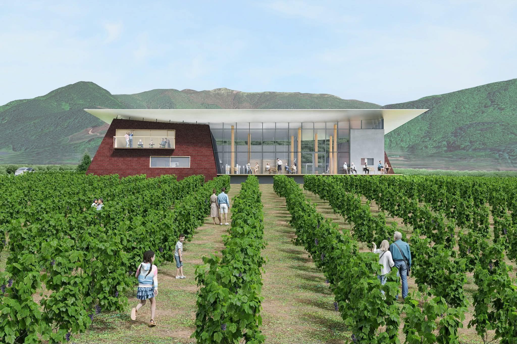Architectural rendering of a winery surrounded by vines